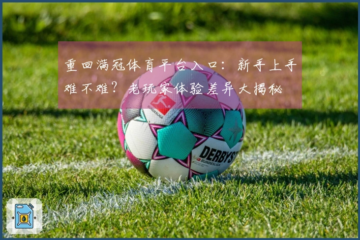 重回满冠体育平台入口:新手上手难不难?老玩家体验差异大揭秘